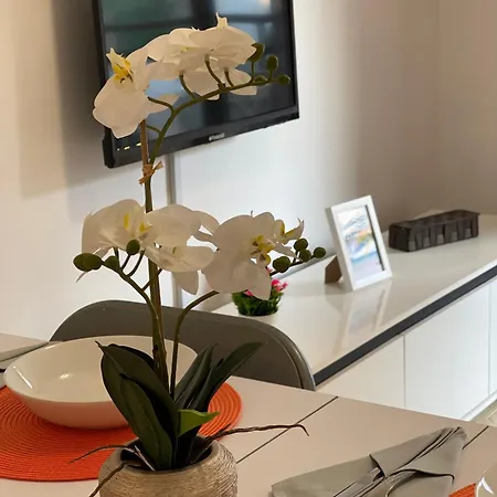 Apartbeach Dms I 217 Vistas Playa Y Climatizado Apartment *